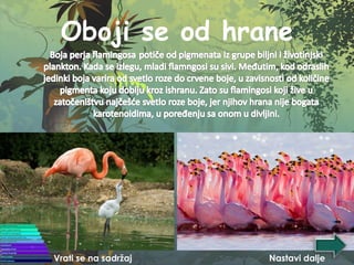 Oboji se od hrane
Vrati se na sadržaj Nastavi dalje
 