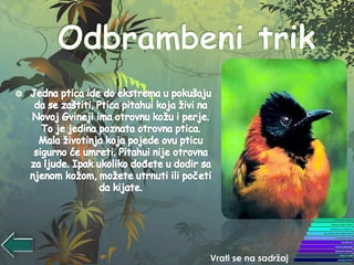 Vrati se na sadržaj
 