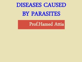 DISEASES CAUSED
BY PARASITES
Prof.Hamed Attia
 