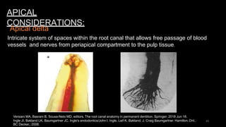 interanal anatomy 1.pptx