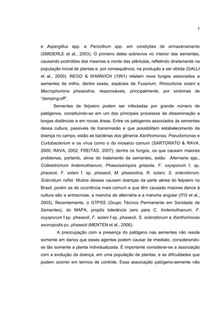 5
e Aspergillus spp. e Penicillium spp. em condições de armazenamento
(SMIDERLE et al., 2003). O primeiro deles sobrevive no interior das sementes,
causando podridões das mesmas e morte das plântulas, refletindo diretamente na
população inicial de plantas e, por consequência, na produção a ser obtida (GALLI
et al., 2000). REGO & WARWICH (1991) relatam nove fungos associados a
sementes de milho, dentre esses, espécies de Fusarium, Rhizoctonia solani e
Macrophomina phaseolina, responsáveis, principalmente, por sintomas de
“damping-off”.
Sementes de feijoeiro podem ser infectadas por grande número de
patógenos, constituindo-se em um dos principais processos de disseminação a
longas distâncias e em novas áreas. Entre os patógenos associados às sementes
dessa cultura, passiveis de transmissão e que possibilitam estabelecimento da
doença no campo, estão as bactérias dos gêneros Xanthomonas, Pseudomonas e
Curtobacterium e os vírus como o do mosaico comum (SARTORATO & RAVA,
2000; RAVA, 2002; FREITAS, 2007); dentre os fungos, os que causam maiores
problemas, portanto, alvos do tratamento de sementes, estão Alternaria spp.,
Colletotrichum lindemuthianum, Phaeoisariopsis griseola, F. oxysporum f. sp.
phaseoli, F. solani f. sp. phaseoli, M. phaseolina, R. solani, S. sclerotiorum,
Sclerotium rolfsii. Muitos desses causam doenças da parte aérea do feijoeiro no
Brasil, porém as de ocorrência mais comum e que têm causado maiores danos à
cultura são a antracnose, a mancha de alternária e a mancha angular (ITO et al.,
2003). Recentemente, o GTPSS (Grupo Técnico Permanente em Sanidade de
Sementes), do MAPA, propôs tolerância zero para C. lindemuthianum, F.
oxysporum f.sp. phaseoli, F. solani f.sp. phaseoli, S. sclerotiorum e Xanthomonas
axonopodis pv. phaseoli (MENTEN et al., 2006).
A preocupação com a presença do patógeno nas sementes não reside
somente em danos que esses agentes podem causar de imediato, considerando-
se tão somente a planta individualizada. É importante considerar-se a associação
com a evolução da doença, em uma população de plantas, e as dificuldades que
podem ocorrer em termos de controle. Essa associação patógeno-semente não
 