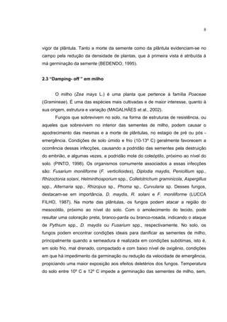 8
vigor da plântula. Tanto a morte da semente como da plântula evidenciam-se no
campo pela redução da densidade de plantas, que à primeira vista é atribuída à
má germinação da semente (BEDENDO, 1995).
2.3 “Damping- off ” em milho
O milho (Zea mays L.) é uma planta que pertence à família Poaceae
(Gramineae). É uma das espécies mais cultivadas e de maior interesse, quanto à
sua origem, estrutura e variação (MAGALHÃES et al., 2002).
Fungos que sobrevivem no solo, na forma de estruturas de resistência, ou
aqueles que sobrevivem no interior das sementes de milho, podem causar o
apodrecimento das mesmas e a morte de plântulas, no estagio de pré ou pós -
emergência. Condições de solo úmido e frio (10-13º C) geralmente favorecem a
ocorrência dessas infecções, causando a podridão das sementes pela destruição
do embrião, e algumas vezes, a podridão mole do coleóptilo, próximo ao nível do
solo. (PINTO, 1998). Os organismos comumente associados a essas infecções
são: Fusarium moniliforme (F. verticilioides), Diplodia maydis, Penicillium spp.,
Rhizoctonia solani, Helminthosporium spp., Colletotrichum graminicola, Aspergillus
spp., Alternaria spp., Rhizopus sp., Phoma sp., Curvularia sp. Desses fungos,
destacam-se em importância, D. maydis, R. solani e F. moniliforme (LUCCA
FILHO, 1987). Na morte das plântulas, os fungos podem atacar a região do
mesocótilo, próximo ao nível do solo. Com o amolecimento do tecido, pode
resultar uma coloração preta, branco-parda ou branco-rosada, indicando o ataque
de Pythium spp., D. maydis ou Fusarium spp., respectivamente. No solo, os
fungos podem encontrar condições ideais para danificar as sementes de milho,
principalmente quando a semeadura é realizada em condições subótimas, isto é,
em solo frio, mal drenado, compactado e com baixo nível de oxigênio, condições
em que há impedimento da germinação ou redução da velocidade de emergência,
propiciando uma maior exposição aos efeitos deletérios dos fungos. Temperatura
do solo entre 10º C e 12º C impede a germinação das sementes de milho, sem,
 
