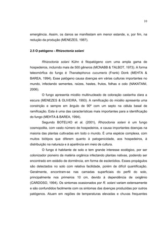 10
emergência. Assim, os danos se manifestam em menor estande, e, por fim, na
redução da produção (MENEZES, 1987).
2.5 O patógeno - Rhizoctonia solani
Rhizoctonia solani Kühn é fitopatógeno com uma ampla gama de
hospedeiros, incluindo mais de 500 gêneros (MCNABB & TALBOT, 1973). A forma
teleomórfica do fungo é Thanatephorus cucumeris (Frank) Donk (MEHTA &
BAREA, 1994). Esse patógeno causa doenças em várias culturas importantes no
mundo, infectando sementes, raízes, hastes, frutos, folhas e colo (NAKATANI,
2006).
O fungo apresenta micélio multinucleado de coloração castanha clara a
escura (MENEZES & OLIVEIRA, 1993). A ramificação do micélio apresenta uma
constrição e sempre em ângulo de 90º com um septo na célula basal de
ramificação. Esta é uma das características mais importantes para a identificação
do fungo (MEHTA & BAREA, 1994).
Segundo BOTELHO et al. (2001), Rhizoctonia solani é um fungo
cosmopolita, com vasto número de hospedeiros, e causa importantes doenças na
maioria das plantas cultivadas em todo o mundo. É uma espécie complexa, com
muitos biótipos que diferem quanto à patogenicidade, aos hospedeiros, à
distribuição na natureza e à aparência em meio de cultura.
O fungo é habitante de solo e tem grande interesse ecológico, por ser
colonizador pioneiro da matéria orgânica infectando plantas nativas, podendo ser
encontrado em estádio de dormência, em forma de escleródios. Esses propágulos
são detectados no solo com relativa facilidade, porém de difícil quantificação.
Geralmente, encontram-se nas camadas superficiais do perfil do solo,
principalmente nos primeiros 10 cm, devido à dependência de oxigênio
(CARDOSO, 1994). Os sintomas ocasionados por R. solani variam extensamente
e são confundidos facilmente com os sintomas das doenças produzidas por outros
patógenos. Atuam em regiões de temperaturas elevadas e chuvas frequentes
 
