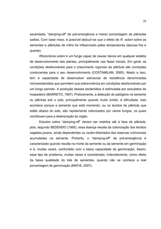 28
severidade, “damping-off” de pré-emergência e menor porcentagem de plântulas
sadias. Com base nisso, é possível deduzir-se que o efeito de R. solani sobre as
sementes e plântulas de milho foi influenciado pelas temperaturas (épocas fria e
quente).
Rhizoctonia solani é um fungo capaz de causar danos em qualquer estádio
de desenvolvimento das plantas, principalmente nas fases iniciais. Em geral, as
condições desfavoráveis para o crescimento vigoroso da plântula são condições
conducentes para o seu desenvolvimento (COSTAMILAN, 2000). Aliado a isso,
tem a capacidade de desenvolver estruturas de resistência denominadas
microescleródios que permitem sua sobrevivência em condições desfavoráveis por
um longo período. A produção desses escleródios é estimulada por exsudatos do
hospedeiro (BARRETO, 1997). Praticamente, a detecção do patógeno na semente
ou plântula sob o solo, principalmente quando muito úmido, é dificultada. Isso
acontece porque a semente que está morrendo, ou os tecidos da plântula que
estão abaixo do solo, são rapidamente colonizados por vários fungos, os quais
contribuem para a deterioração do orgão.
Estudos sobre “damping-off” devem ser restritos até à fase de plântula,
pois, segundo BEDENDO (1995), essa doença resulta da colonização dos tecidos
vegetais jovens, ainda dependentes ou recém-libertados das reservas nutricionais
acumuladas na semente. Portanto, o “damping-off” de pré-emergência é
caracterizado quando resulta na morte da semente ou da semente em germinação
e é, muitas vezes, confundido com a baixa capacidade de germinação. Assim,
esse tipo de problema, muitas vezes é considerado, indevidamente, como efeito
da baixa qualidade do lote de sementes, quando não se conhece a real
porcentagem de germinação (MAFIA, 2007).
 