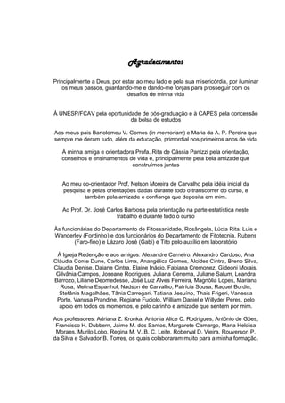 Agradecimentos
Principalmente a Deus, por estar ao meu lado e pela sua misericórdia, por iluminar
os meus passos, guardando-me e dando-me forças para prosseguir com os
desafios de minha vida
À UNESP/FCAV pela oportunidade de pós-graduação e à CAPES pela concessão
da bolsa de estudos
Aos meus pais Bartolomeu V. Gomes (in memoriam) e Maria da A. P. Pereira que
sempre me deram tudo, além da educação, primordial nos primeiros anos de vida
À minha amiga e orientadora Profa. Rita de Cássia Panizzi pela orientação,
conselhos e ensinamentos de vida e, principalmente pela bela amizade que
construímos juntas
Ao meu co-orientador Prof. Nelson Moreira de Carvalho pela idéia inicial da
pesquisa e pelas orientações dadas durante todo o transcorrer do curso, e
também pela amizade e confiança que deposita em mim.
Ao Prof. Dr. José Carlos Barbosa pela orientação na parte estatística neste
trabalho e durante todo o curso
Às funcionárias do Departamento de Fitossanidade, Rosângela, Lúcia Rita, Luis e
Wanderley (Fordinho) e dos funcionários do Departamento de Fitotecnia, Rubens
(Faro-fino) e Lázaro José (Gabi) e Tito pelo auxílio em laboratório
À Igreja Redenção e aos amigos: Alexandre Carneiro, Alexandro Cardoso, Ana
Cláudia Conte Dune, Carlos Lima, Anangélica Gomes, Alcides Cintra, Breno Silva,
Cláudia Denise, Daiane Cintra, Elaine Inácio, Fabiana Cremonez, Gideoni Morais,
Gilvânia Campos, Joseane Rodrigues, Juliana Cenema, Juliane Salum, Leandra
Barrozo, Liliane Deomedesse, José Luiz Alves Ferreira, Magnólia Lopes, Mariana
Rosa, Melina Espanhol, Nadson de Carvalho, Patrícia Sousa, Raquel Bordin,
Stefânia Magalhães, Tânia Carregari, Tatiana Jesuíno, Thais Frigeri, Vanessa
Porto, Vanusa Prandine, Regiane Fuciolo, William Daniel e Willyder Peres, pelo
apoio em todos os momentos, e pelo carinho e amizade que sentem por mim.
Aos professores: Adriana Z. Kronka, Antonia Alice C. Rodrigues, Antônio de Góes,
Francisco H. Dubbern, Jaime M. dos Santos, Margarete Camargo, Maria Heloisa
Moraes, Murilo Lobo, Regina M. V. B. C. Leite, Roberval D. Vieira, Rouverson P.
da Silva e Salvador B. Torres, os quais colaboraram muito para a minha formação.
 
