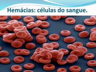 Hemácias: células do sangue. 
 