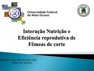 Discentes: Lucas Maciel Gomes Olini
Nilton Felix Ballerini
Interação Nutrição e
Eficiência reprodutiva de
Fêmeas de corte
 