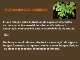 MUTUALISMO OU SIMBIOSE É uma relação entre indivíduos de espécies diferentes,  as duas espécies envolvidas são beneficiadas e a  associação é necessária para a sobrevivência de ambas.  Um bom exemplo dessa relação é a associação de algas e  fungos formando os liquens. Neste caso os fungos abrigam as algas e as mesmas alimentam os fungos.   EX: 