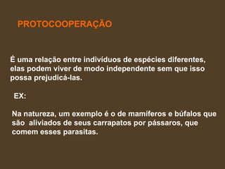 PROTOCOOPERAÇÃO É uma relação entre indivíduos de espécies diferentes,  elas podem viver de modo independente sem que isso  possa prejudicá-las.  Na natureza, um exemplo é o de mamíferos e búfalos que  são  aliviados de seus carrapatos por pássaros, que  comem esses parasitas.  EX: 