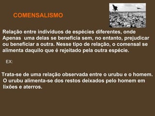 COMENSALISMO Relação entre indivíduos de espécies diferentes, onde  Apenas  uma delas se beneficia sem, no entanto, prejudicar  ou beneficiar a outra. Nesse tipo de relação, o comensal se  alimenta daquilo que é rejeitado pela outra espécie.  Trata-se de uma relação observada entre o urubu e o homem. O urubu alimenta-se dos restos deixados pelo homem em lixões e aterros.  EX: 