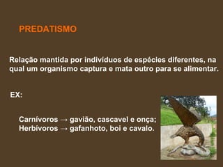 Relação mantida por indivíduos de espécies diferentes, na  qual um organismo captura e mata outro para se alimentar.  EX: PREDATISMO Carnívoros -> gavião, cascavel e onça;  Herbívoros -> gafanhoto, boi e cavalo.  