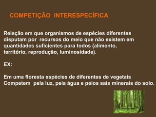 COMPETIÇÃO  INTERESPECÍFICA Relação em que organismos de espécies diferentes  disputam por  recursos do meio que não existem em  quantidades suficientes para todos (alimento,  território, reprodução, luminosidade).  EX:  Em uma floresta espécies de diferentes de vegetais  Competem  pela luz, pela água e pelos sais minerais do solo. 