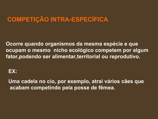 COMPETIÇÃO INTRA-ESPECÍFICA Ocorre quando organismos da mesma espécie e que  ocupam o mesmo  nicho ecológico competem por algum  fator,podendo ser alimentar,territorial ou reprodutivo. EX: Uma cadela no cio, por exemplo, atrai vários cães que acabam competindo pela posse de fêmea. 