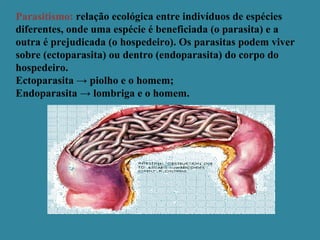 Interação entre os seres vivos | PPT