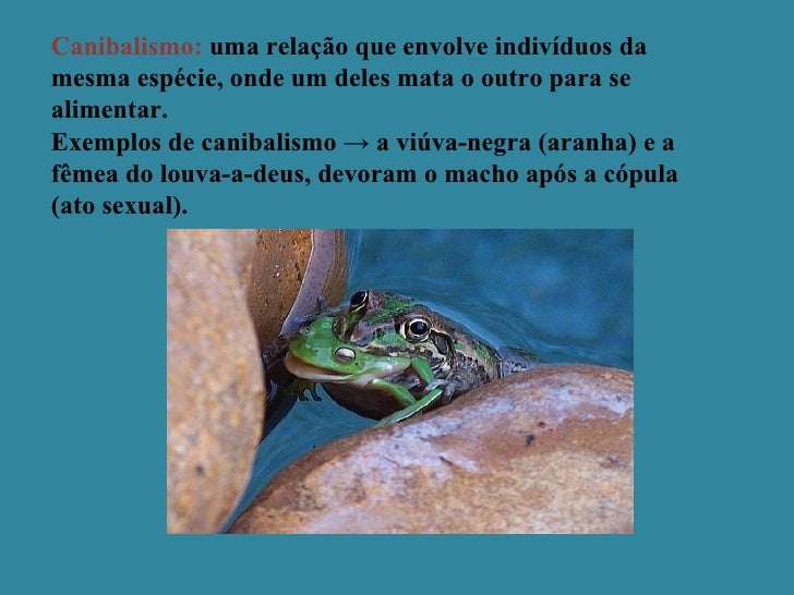 Conjunto De Condições Naturais Que Atuam Sobre Os Seres Vivos
