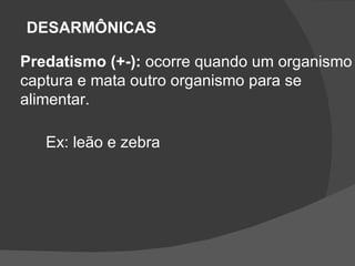 DESARMÔNICAS Predatismo (+-):  ocorre quando um organismo captura e mata outro organismo para se  alimentar. Ex: leão e zebra 