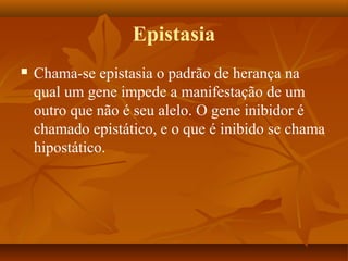 Epistasia
 Chama-se epistasia o padrão de herança na
qual um gene impede a manifestação de um
outro que não é seu alelo. O gene inibidor é
chamado epistático, e o que é inibido se chama
hipostático.
 