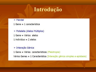 Introdução
 