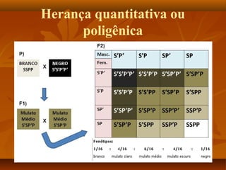 Herança quantitativa ou
poligênica
 