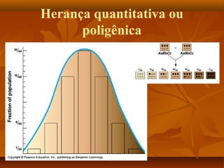 Herança quantitativa ou
poligênica
 