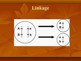 Linkage
 