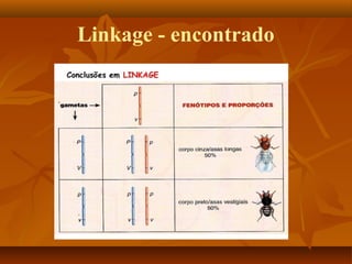 Linkage - encontrado
 