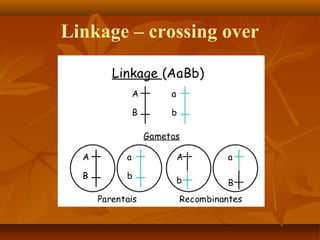 Linkage – crossing over
 