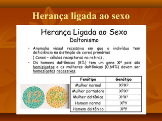 Herança ligada ao sexo
 