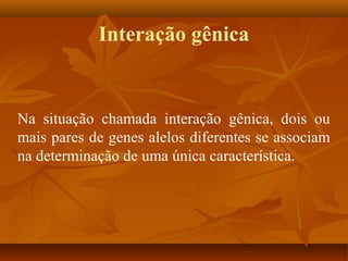 Interação gênica
Na situação chamada interação gênica, dois ou
mais pares de genes alelos diferentes se associam
na determinação de uma única característica.
 