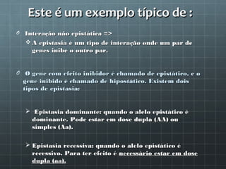 Este é um exemplo típico de :
O Interação não epistática =>
   A epistasia é um tipo de interação onde um par de
    genes inibe o outro par.


O O gene com efeito inibidor é chamado de epistático, e o
  gene inibido é chamado de hipostático. Existem dois
  tipos de epistasia:


   Epistasia dominante: quando o alelo epistático é
   dominante. Pode estar em dose dupla (AA) ou
   simples (Aa).

   Epistasia recessiva: quando o alelo epistático é
    recessivo. Para ter efeito é necessário estar em dose
    dupla (aa).
 