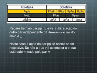 Repare bem no par pp ! Ele vai inibir a ação do
outro par independente da dominância ou não do
alelo A _.

Neste caso a ação do par pp só ocorre se for
recessivo. Se não o que vai acontecer é o que
está determinado pelo par A_.
 