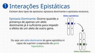Epistasia Dominante: Ocorre quando a
presença de apenas um alelo
dominante já é suficiente para impedir
o efeito de um alelo de outro gene.
Existem dois tipos de epistasia: epistasia dominante e epistasia recessiva.
Ou seja: um alelo dominante do gene epistático é
capaz de suprimir a expressão do gene
hipostático.
1 Interações Epistáticas
 