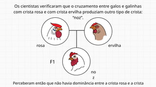 Perceberam então que não havia dominância entre a crista rosa e a crista
Os cientistas verificaram que o cruzamento entre galos e galinhas
com crista rosa e com crista ervilha produziam outro tipo de crista:
“noz”.
no
z
rosa ervilha
F1
 