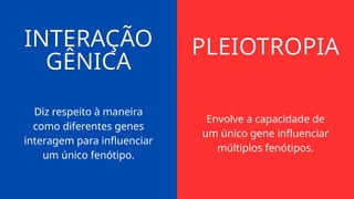 PLEIOTROPIA
INTERAÇÃO
GÊNICA
Diz respeito à maneira
como diferentes genes
interagem para influenciar
um único fenótipo.
Envolve a capacidade de
um único gene influenciar
múltiplos fenótipos.
 