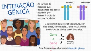 INTERAÇÃO
GÊNICA
As formas de
herança que
estudamos até agora
ocorrem por
determinação de
um par de alelos.
Esse fenômeno é chamado interação gênica.
Mas existem características (altura, cor
dos olhos, cor da pele...) que resultam da
interação de vários pares de alelos.
Gene
a
Gene
b
COR DO
CABELO
 
