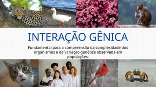 Fundamental para a compreensão da complexidade dos
organismos e da variação genética observada em
populações.
INTERAÇÃO GÊNICA
 