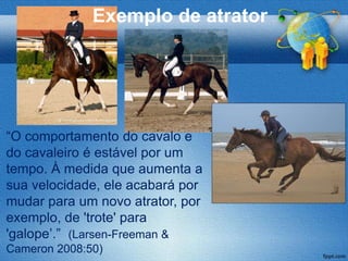 Exemplo de atrator




“O comportamento do cavalo e
do cavaleiro é estável por um
tempo. À medida que aumenta a
sua velocidade, ele acabará por
mudar para um novo atrator, por
exemplo, de 'trote' para
'galope’.” (Larsen-Freeman &
Cameron 2008:50)
 