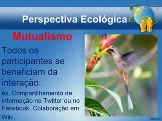 Perspectiva Ecológica
   Mutualismo
Todos os
participantes se
beneficiam da
interação.
ex. Compartilhamento de
informação no Twitter ou no
Facebook. Colaboração em
Wiki.
 