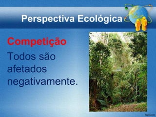 Perspectiva Ecológica

Competição
Todos são
afetados
negativamente.
 