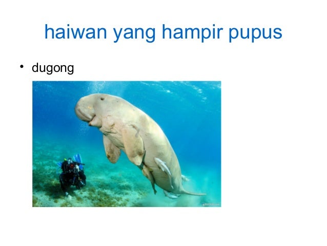 Interasi Antara Hidupan