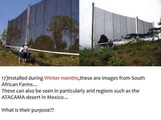 17)Installed during Winter months,these are images from South
African Farms…
These can also be seen in particularly arid regions such as the
ATACAMA desert in Mexico…
What is their purpose??

 