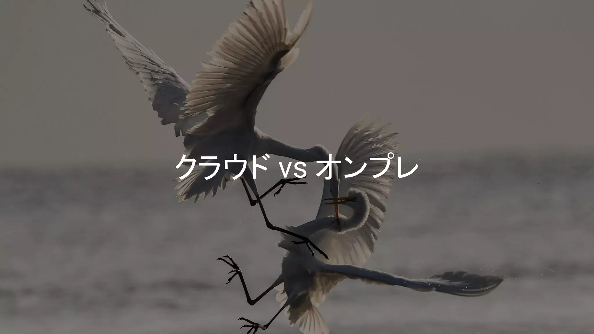 クラウド vs オンプレ
 