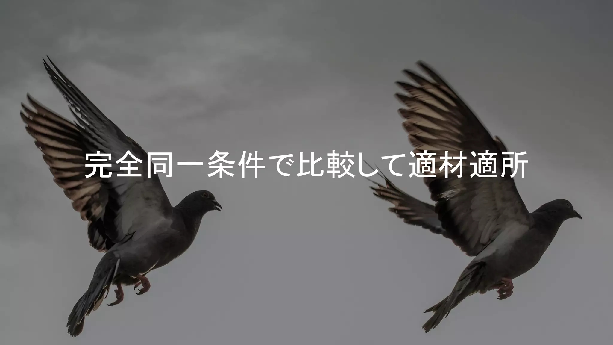 完全同一条件で比較して適材適所
 