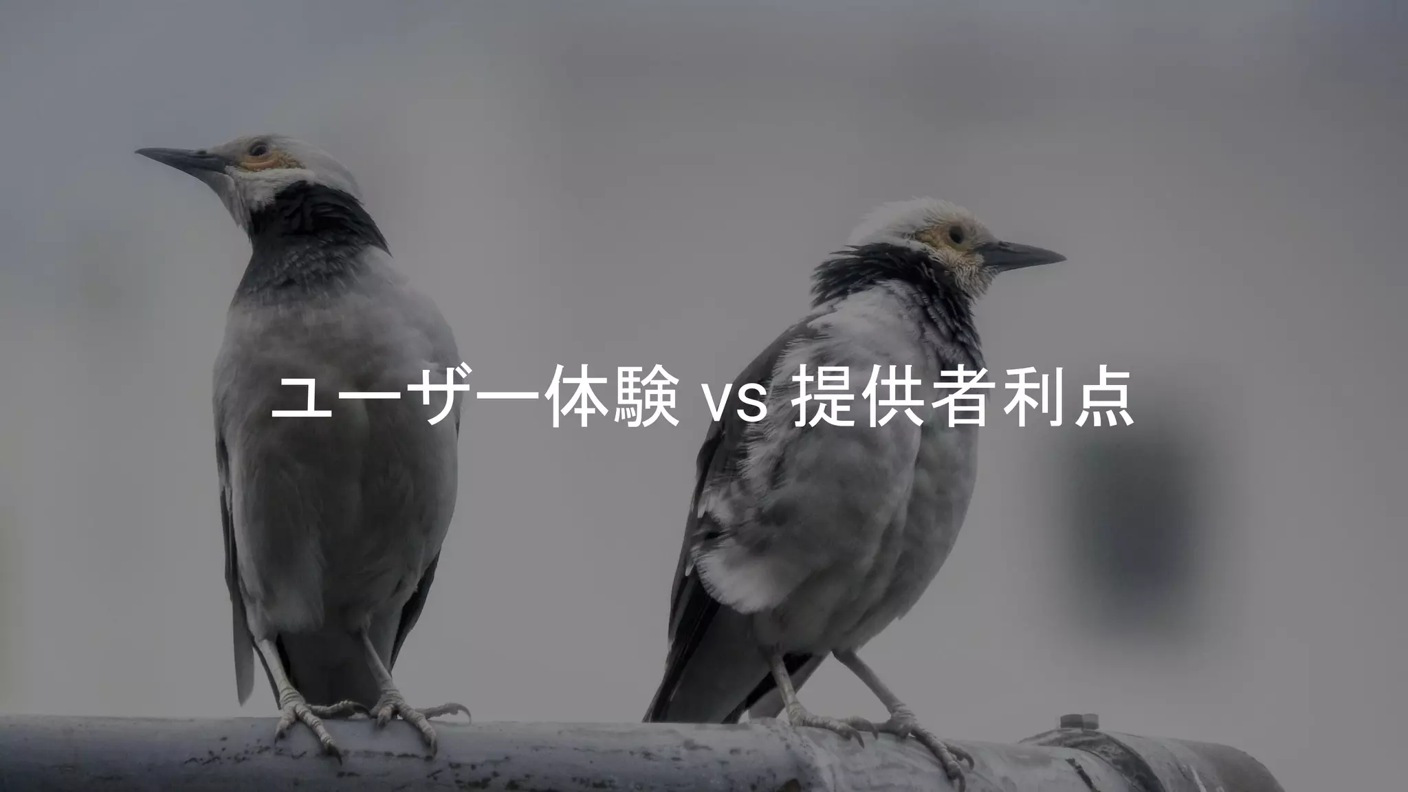 ユーザー体験 vs 提供者利点
 