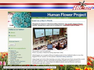 http://www.humanflowerproject.com/index.php/weblog/comments/aal_in_a_days_work/
 