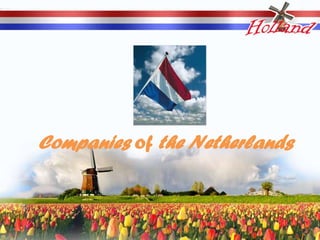 Companies of the Netherlands
 