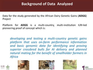 The  application of several genomic models  for the  analysis  of small holder  dairy cattle data