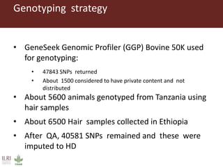 The  application of several genomic models  for the  analysis  of small holder  dairy cattle data