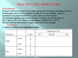 PRACTICA DE LABORATORIO
Procedimiento:
Prepare 3 tubos de ensayo a los cuales agrega 10 ml de agua destilada. Con un
sacabocados corte 6 trozos iguales de papa de 0.5 cm de largo. Seque la
superficie con papel absorbente y pese cada uno de los trozos.
En cada tubo agregue dos trozos de papa. Coloque uno de los tubos a
40°C, otro a 10°C y el Ultimo a temperatura ambiente (15 a 25°C).
Despues de una hora mida el largo y pese los trozos de papa.
     Resultados:
a. Anote sus datos en el siguiente Cuadro.
 