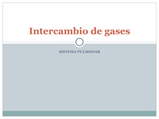 SISTEMA PULMONAR Intercambio de gases 